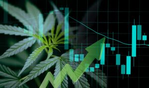 Two Riverhead Decisions Address Cannabis Dispensary Zoning in New York